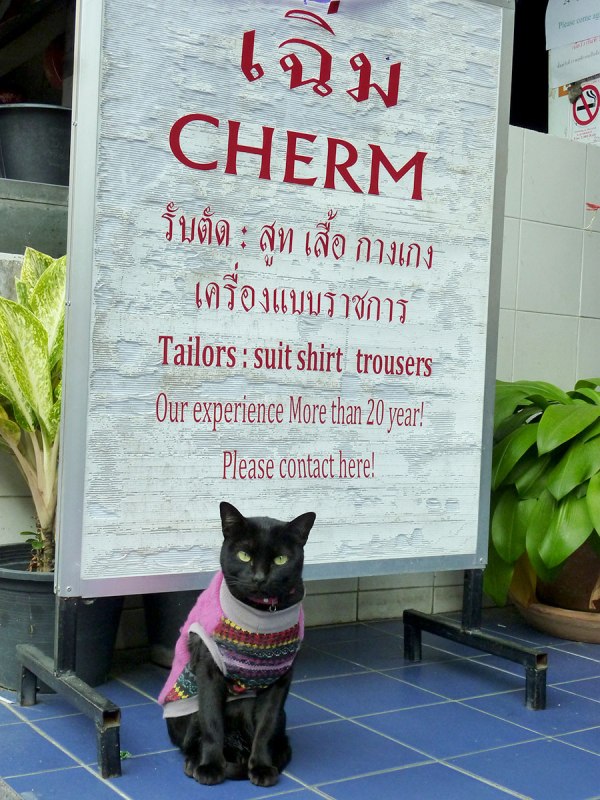 You're welcome. [Chiang Mai, 2014]