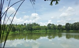 lake-view chiang rai